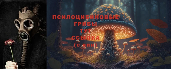 ПСИЛОЦИБИНОВЫЕ ГРИБЫ Абинск