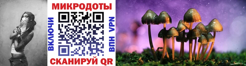Псилоцибиновые грибы мицелий Руза