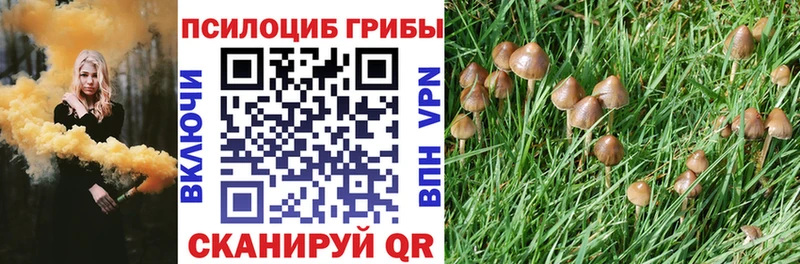 shop как зайти  Руза  Псилоцибиновые грибы GOLDEN TEACHER  как найти наркотики 